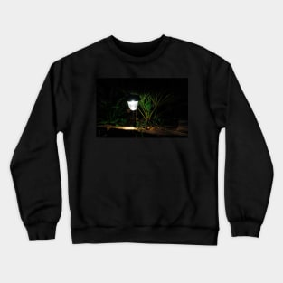 Garden Solar Light in the Dark Crewneck Sweatshirt